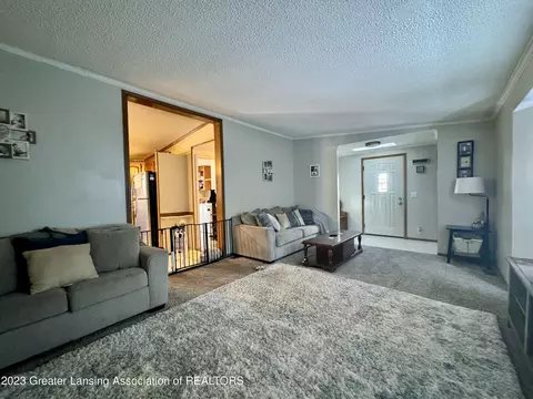 938 Division St, Owosso, MI 48867 photo 20