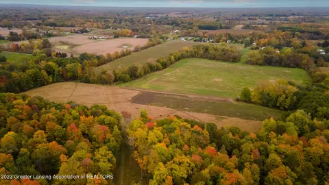 12420 S Wacousta Rd, Eagle, MI 48822 photo 69