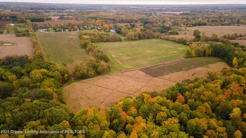 12420 S Wacousta Rd, Eagle, MI 48822 photo 67