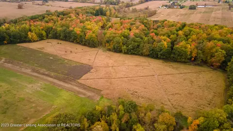 12420 S Wacousta Rd, Eagle, MI 48822 photo 65