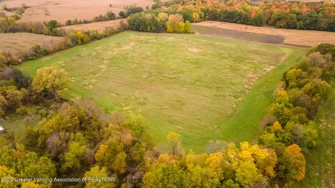 12420 S Wacousta Rd, Eagle, MI 48822 photo 63