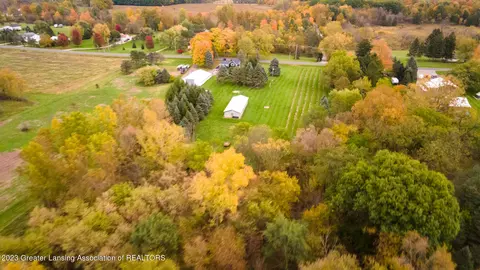 12420 S Wacousta Rd, Eagle, MI 48822 photo 73