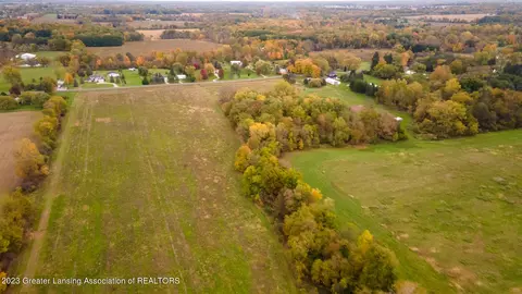 12420 S Wacousta Rd, Eagle, MI 48822 photo 66