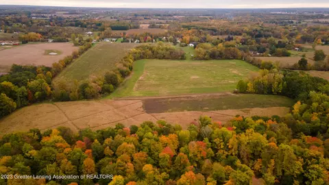 12420 S Wacousta Rd, Eagle, MI 48822 photo 68