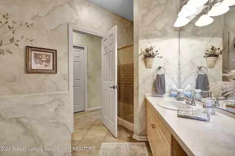 Bath - 406 W Spring Meadows Ln, Dewitt, MI 48820 photo 3 of 6