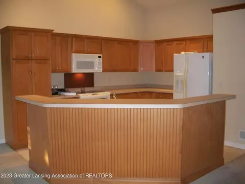 4295 Presidents Way, Dewitt, MI 48820 photo 12