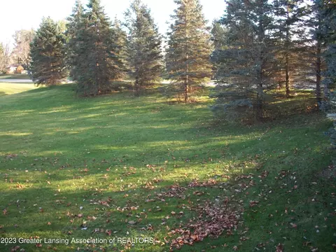 4295 Presidents Way, Dewitt, MI 48820 photo 3