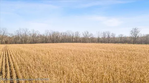 0 Shaftsburg Rd, Perry, MI 48872 photo 14