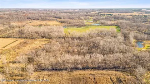 0 Shaftsburg Rd, Perry, MI 48872 photo 10