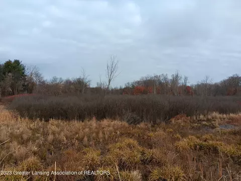 0 Berry Rd, Pleasant Lake, MI 49272