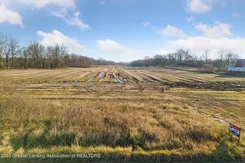 0 S Clintonia Rd, Portland, MI 48875