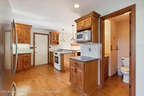 1933 Maple Shade Dr, Williamston, MI 48895 photo 12