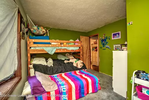 211 E Jefferson St, Dimondale, MI 48821 photo 22