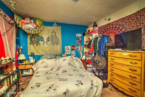 211 E Jefferson St, Dimondale, MI 48821 photo 33