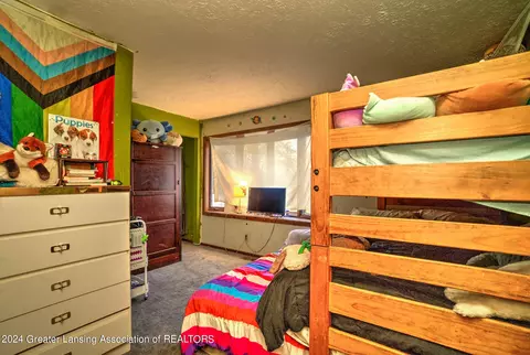 211 E Jefferson St, Dimondale, MI 48821 photo 21