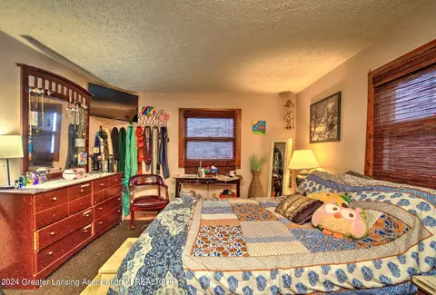211 E Jefferson St, Dimondale, MI 48821 photo 29