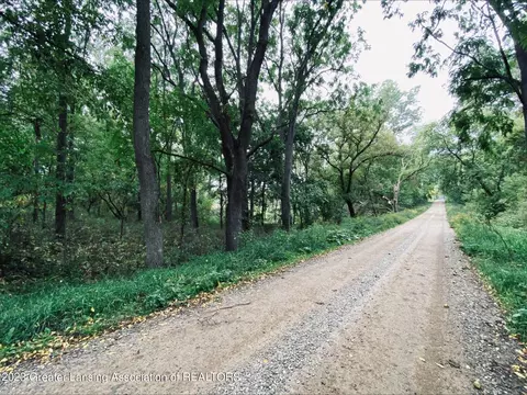 7137 W Hyde Rd, Saint Johns, MI 48879 photo 8