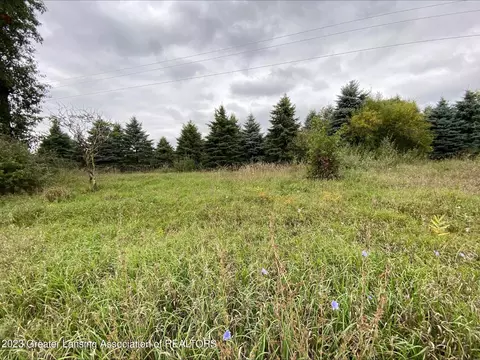 7137 W Hyde Rd, Saint Johns, MI 48879 photo 5