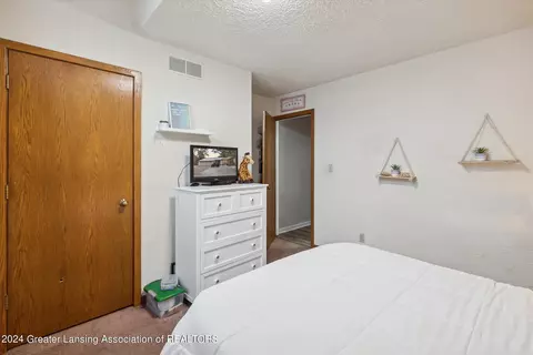 13182 White Pine Dr, Dewitt, MI 48820 photo 16
