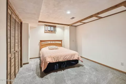 13182 White Pine Dr, Dewitt, MI 48820 photo 27