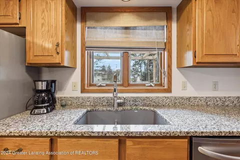13182 White Pine Dr, Dewitt, MI 48820 photo 11