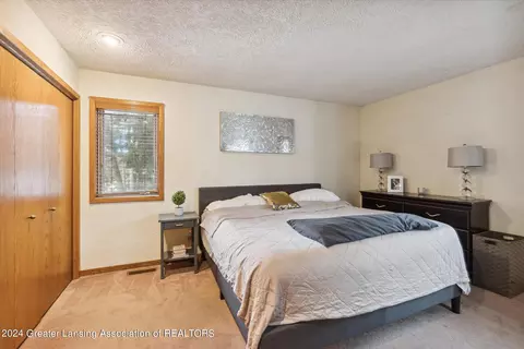 13182 White Pine Dr, Dewitt, MI 48820 photo 18