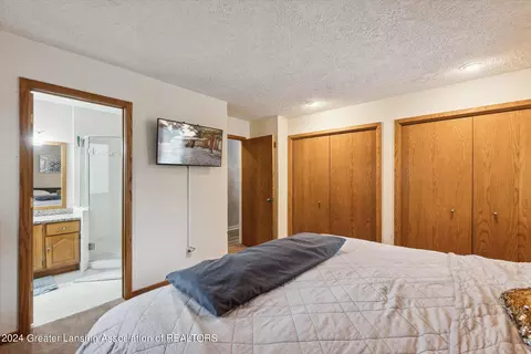 13182 White Pine Dr, Dewitt, MI 48820 photo 19