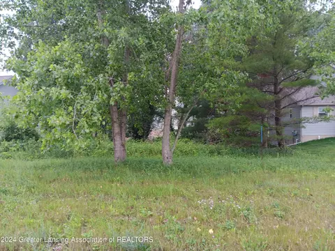 00 W Riverview Lot Apt 5 Dr, Perry, MI 48872