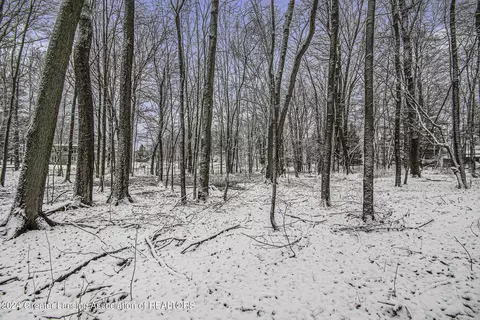 351 Newman Rd, Okemos, MI 48864 photo 36