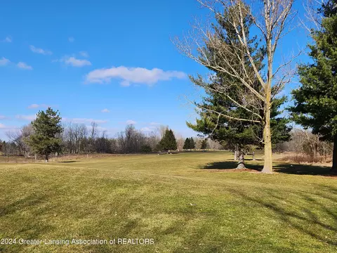 V/l Saginaw, Sunfield, MI 48890