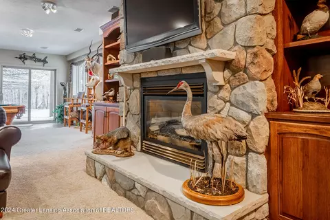 15700 Nectar Ln, Haslett, MI 48840 photo 69