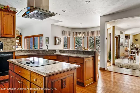 15700 Nectar Ln, Haslett, MI 48840 photo 33