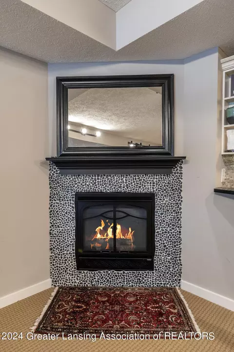 16523 Peacock Rd, Haslett, MI 48840 photo 56
