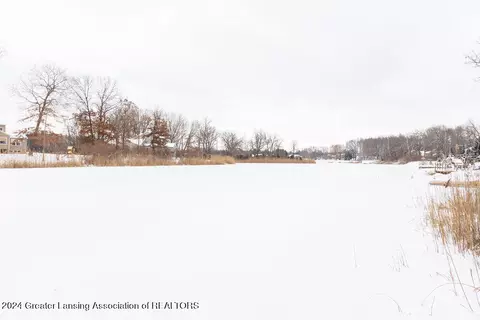 16523 Peacock Rd, Haslett, MI 48840 photo 73