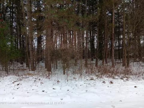 4 Blue Water Way, Perry, MI 48872