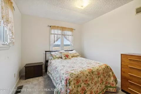 4713 Pares Rd, Dimondale, MI 48821 photo 28