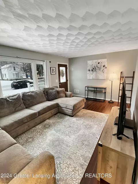 703 E Cass St, Saint Johns, MI 48879 photo 5