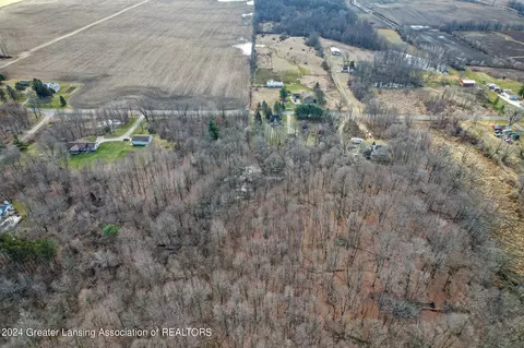 View/Area - 811 E Holt Rd, Williamston, MI 48895 photo 8 of 10