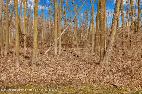 View/Area - 811 E Holt Rd, Williamston, MI 48895 photo 1 of 10