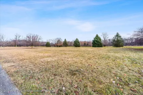 Vl Eagle Drive, Jackson, MI 49201 photo 5