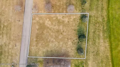 Vl Eagle Drive, Jackson, MI 49201 photo 3