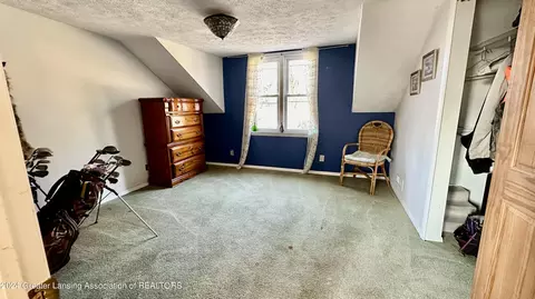 210 E Jefferson St, Dewitt, MI 48820 photo 17