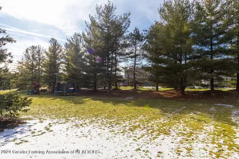 Exterior - 13142 Blaisdell Dr, Dewitt, MI 48820 photo 8 of 9