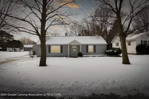 124 E Maple St, Elsie, MI 48831
