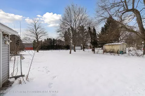 View/Area - 124 E Maple St, Elsie, MI 48831 photo 1 of 1