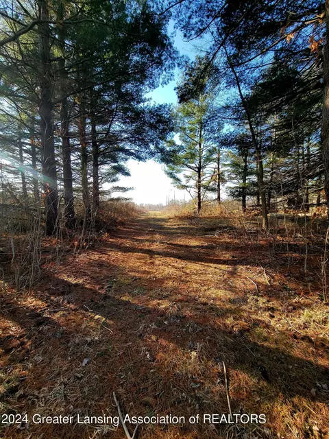 0 Rossman Hwy, Dimondale, MI 48821
