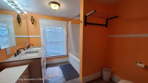 Bath - 317 Ferguson St, Lansing, MI 48912 photo 3 of 4