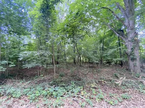 11075 Vicary Rd, Jerome, MI 49249 photo 1