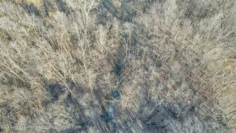 View/Area - 12265 W Maple Rapids Rd, Fowler, MI 48835 photo 10 of 12