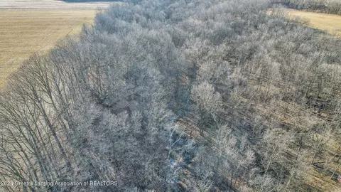 View/Area - 12265 W Maple Rapids Rd, Fowler, MI 48835 photo 9 of 12